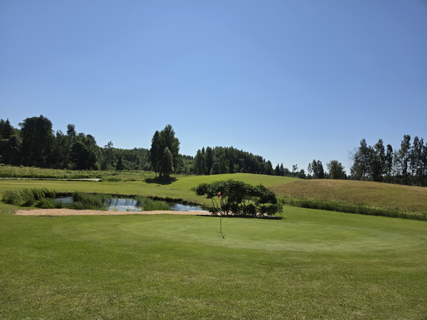 LPGA2026 (3)